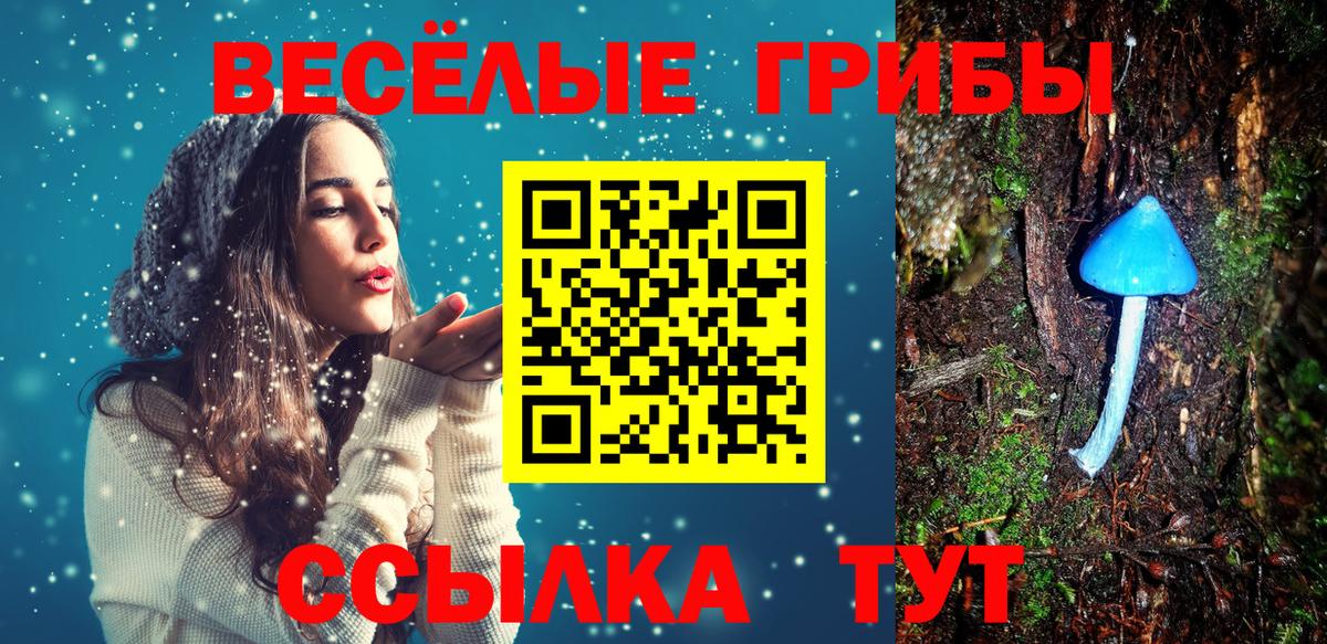 Псилоцибиновые грибы Cubensis  Вход с VPN  Галлюциногенные грибы GOLDEN TEACHER  Краснокаменск 